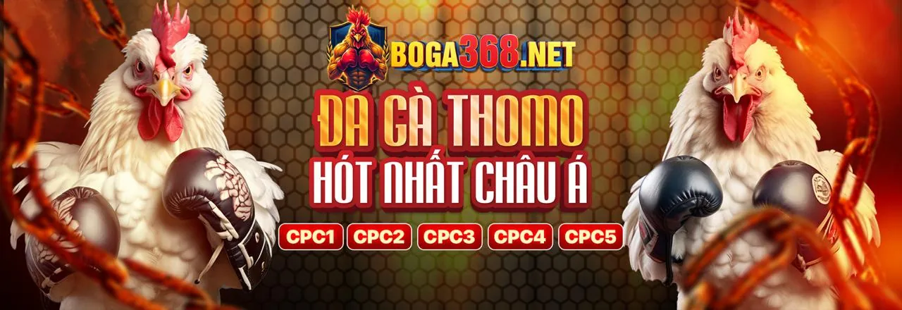 Chương trình VIP Thabet88