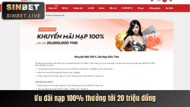 Đặc quyền cá cược thể thao VIP